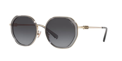 COACH HC7141 CD477 90058G 54 SUNGLASSES