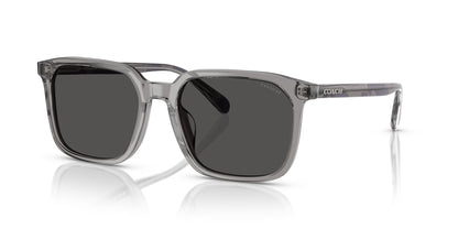 COACH HC8411U CW405 584987 55 SUNGLASSES