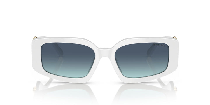 TIFFANY & CO TF4208U 83579S 54 SUNGLASSES