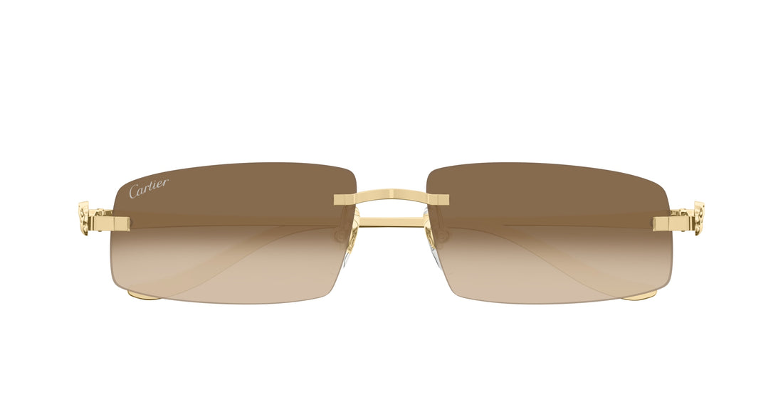 CARTIER CT0505S 003 58 SUNGLASSES