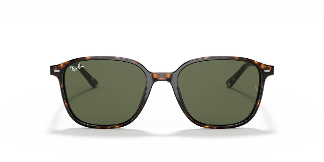 RAYBAN RB2193 LEONARD 902/31 53 SUNGLASSES