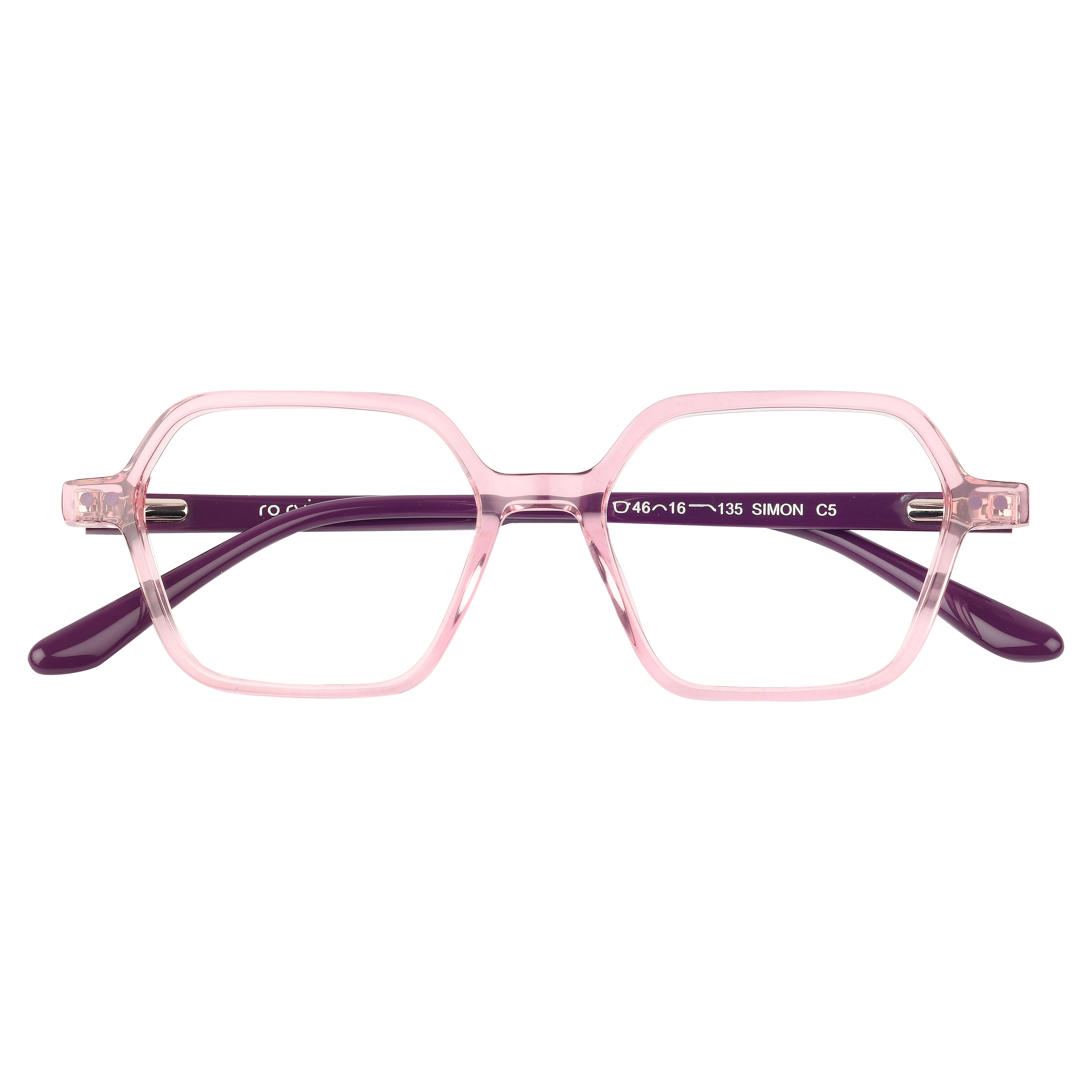 ROSVIN BUGS SIMON C5 46 FRAME