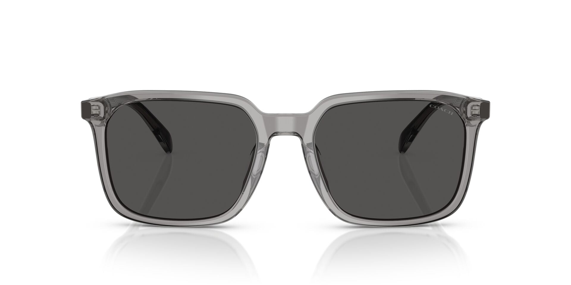 COACH HC8411U CW405 584987 55 SUNGLASSES