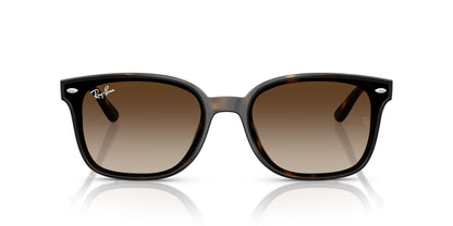 RAYBAN RB4461D 710 13 64 SUNGLASSES