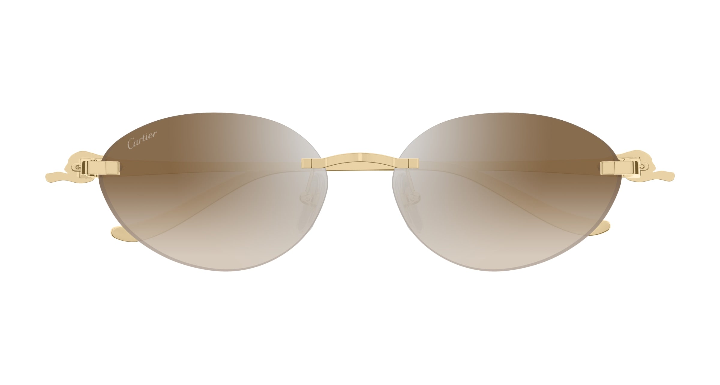 CARTIER CT0504S 003 58 SUNGLASSES