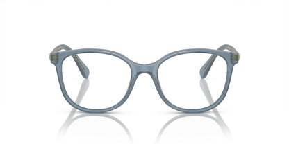SWAROVSKI SK2002 1035 51 FRAME