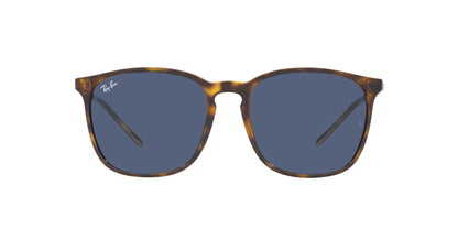 RAYBAN RB4387 710/80 56 SUNGLASSES