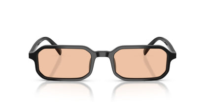EMPORIO ARMANI EA4253U 501793 54 SUNGLASSES