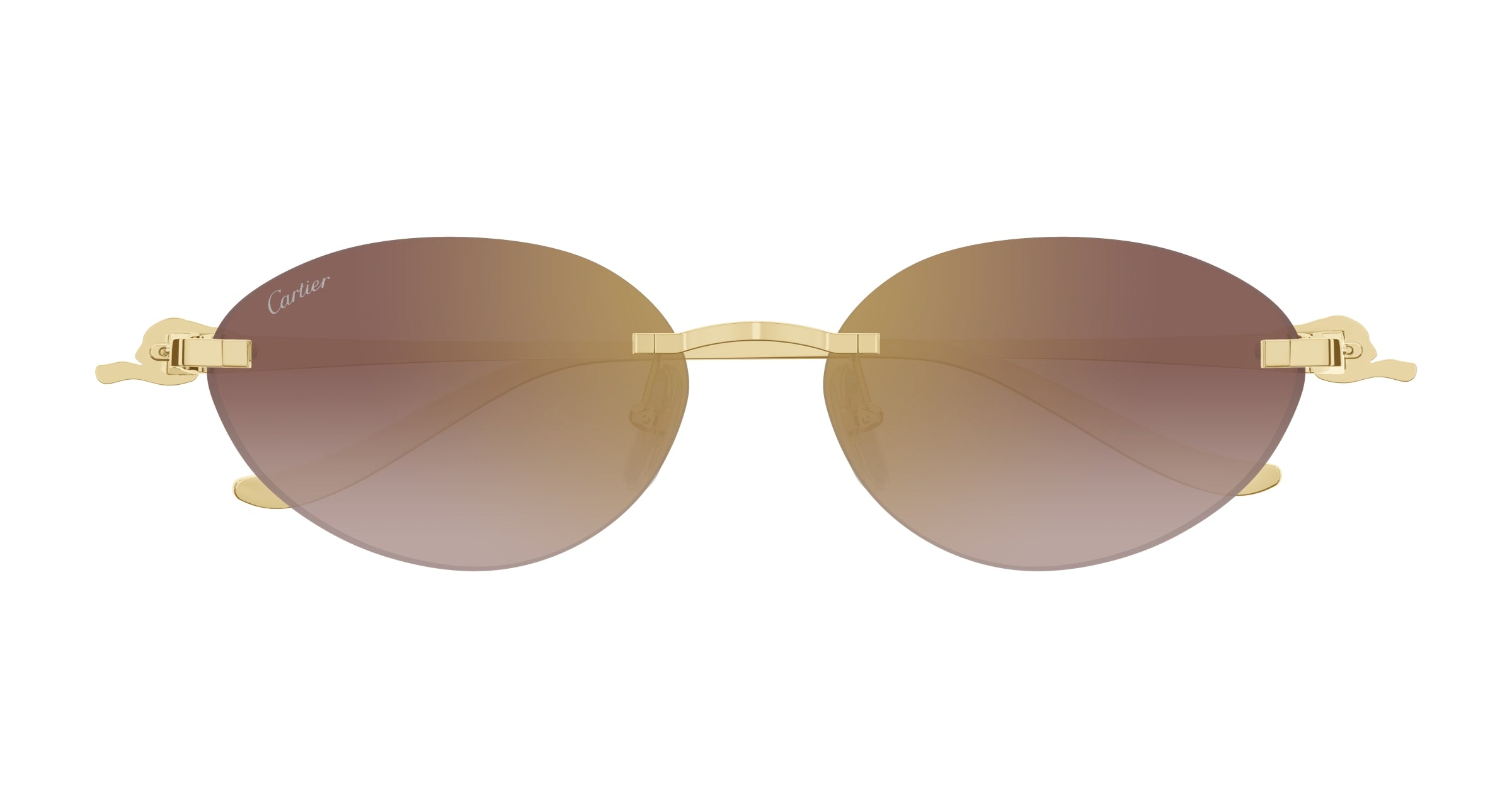 CARTIER CT0504S 002 58 SUNGLASSES