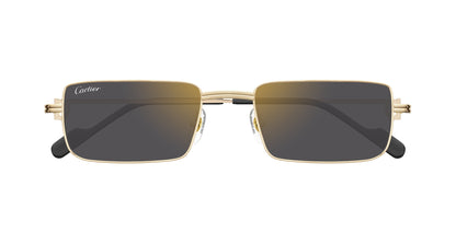 CARTIER CT0501S 005 54 SUNGLASSES