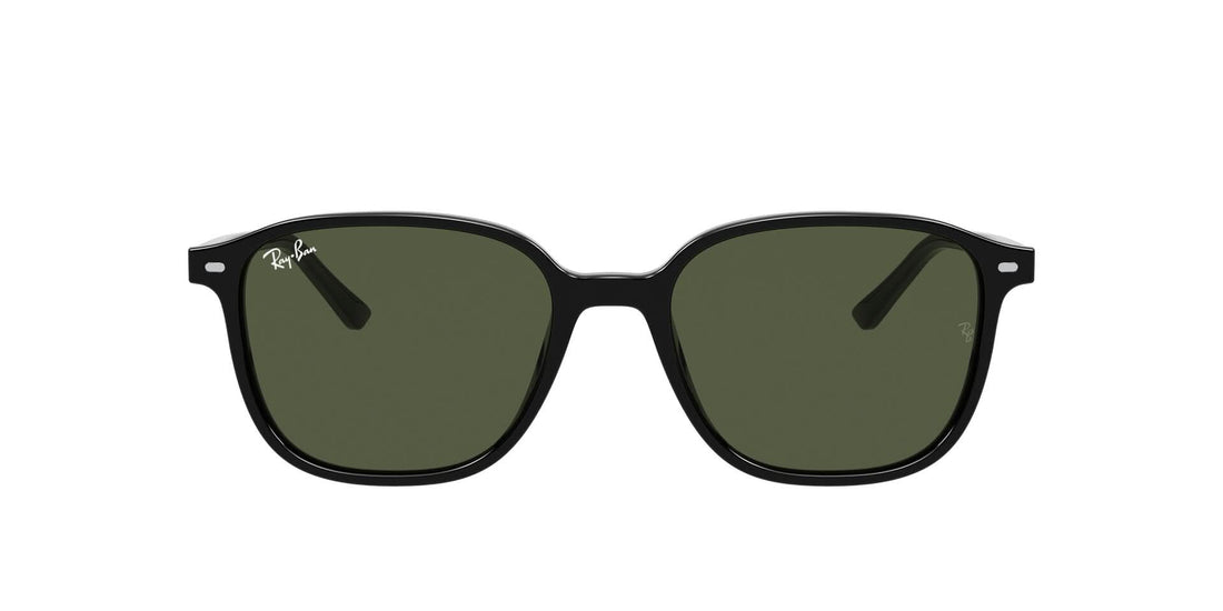 RAYBAN RB2193 LEONARD 901/31 53 SUNGLASSES