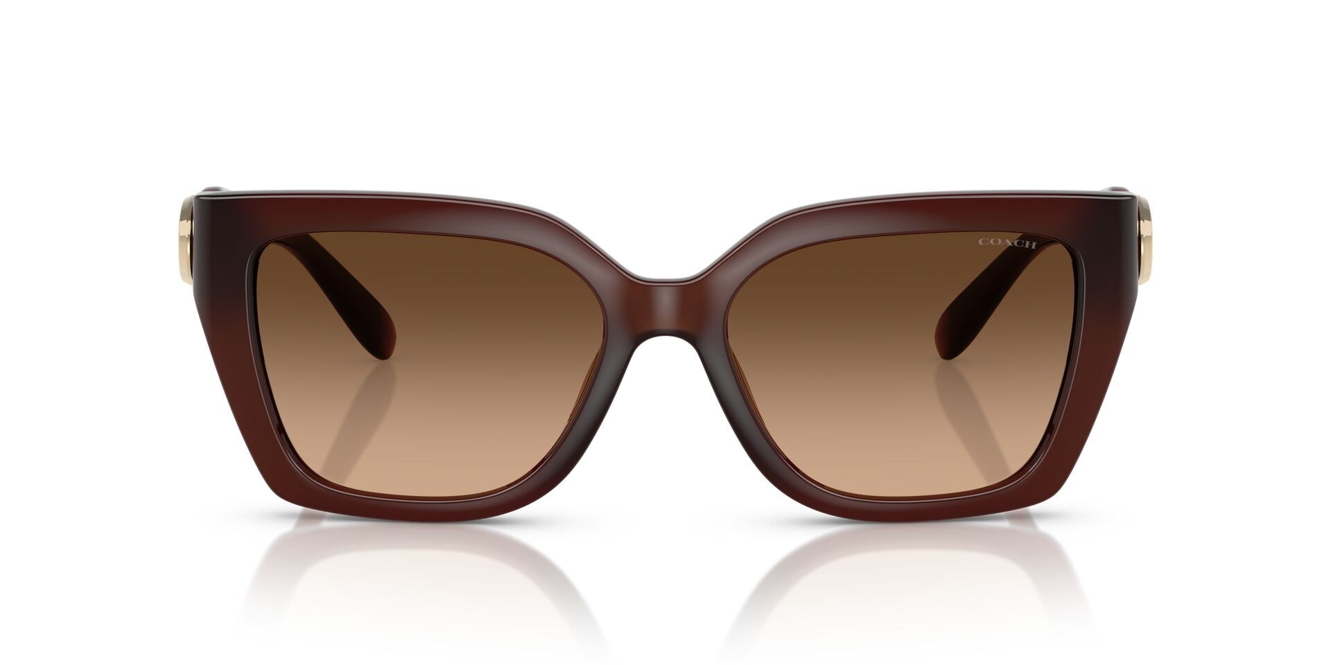 COACH HC8408U CW195 584174 55 SUNGLASSES