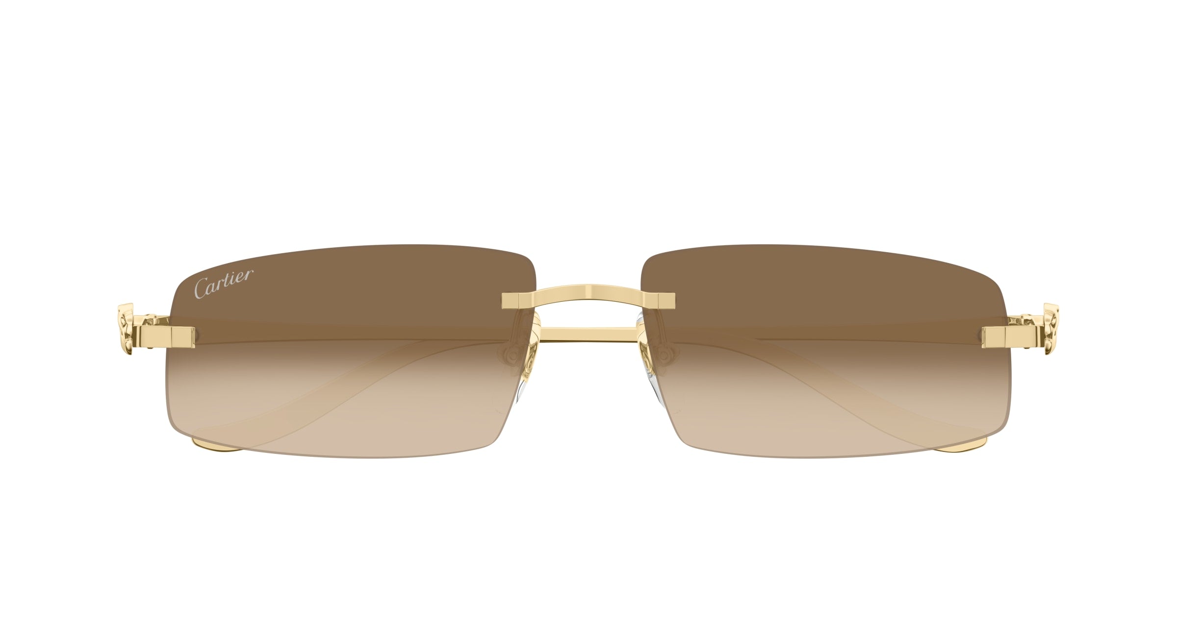 CARTIER CT0505S 003 58 SUNGLASSES