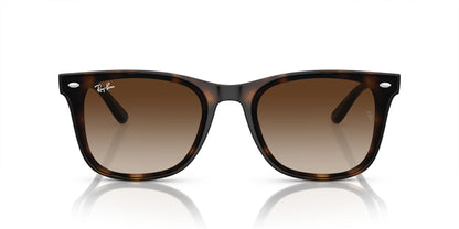 RAYBAN RB4420 710/13 65 SUNGLASSES