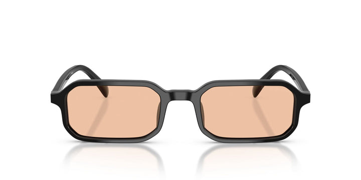 EMPORIO ARMANI EA4253U 501793 54 SUNGLASSES