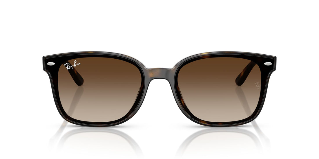 RAYBAN RB4461D 710 13 64 SUNGLASSES