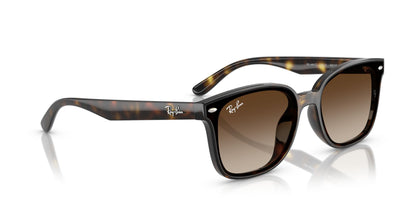 RAYBAN RB4461D 710 13 64 SUNGLASSES
