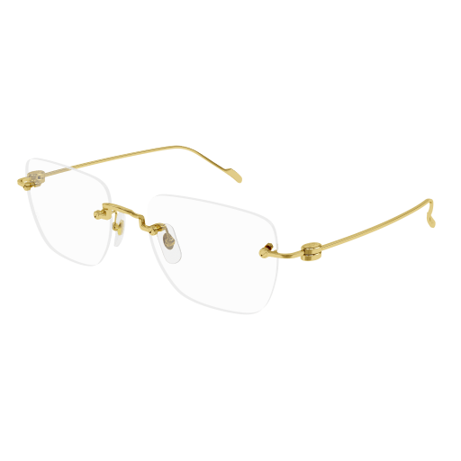 CARTIER CT0379O 002 54 FRAME