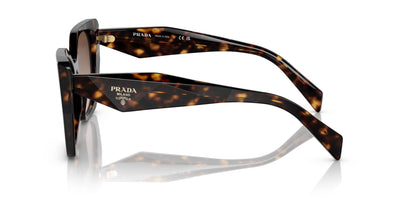PRADA PR19ZS 2AU6S1 55 SUNGLASSES