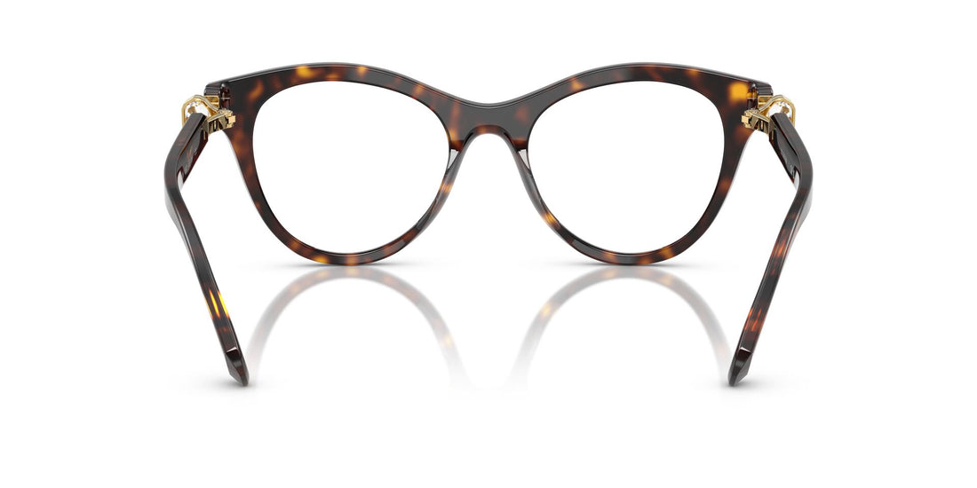 SWAROVSKI SK2036 1002 50 FRAME