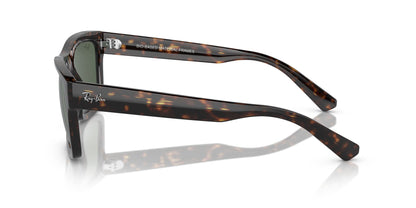 RAYBAN RB4396 WARREN 135971 54 SUNGLASSES