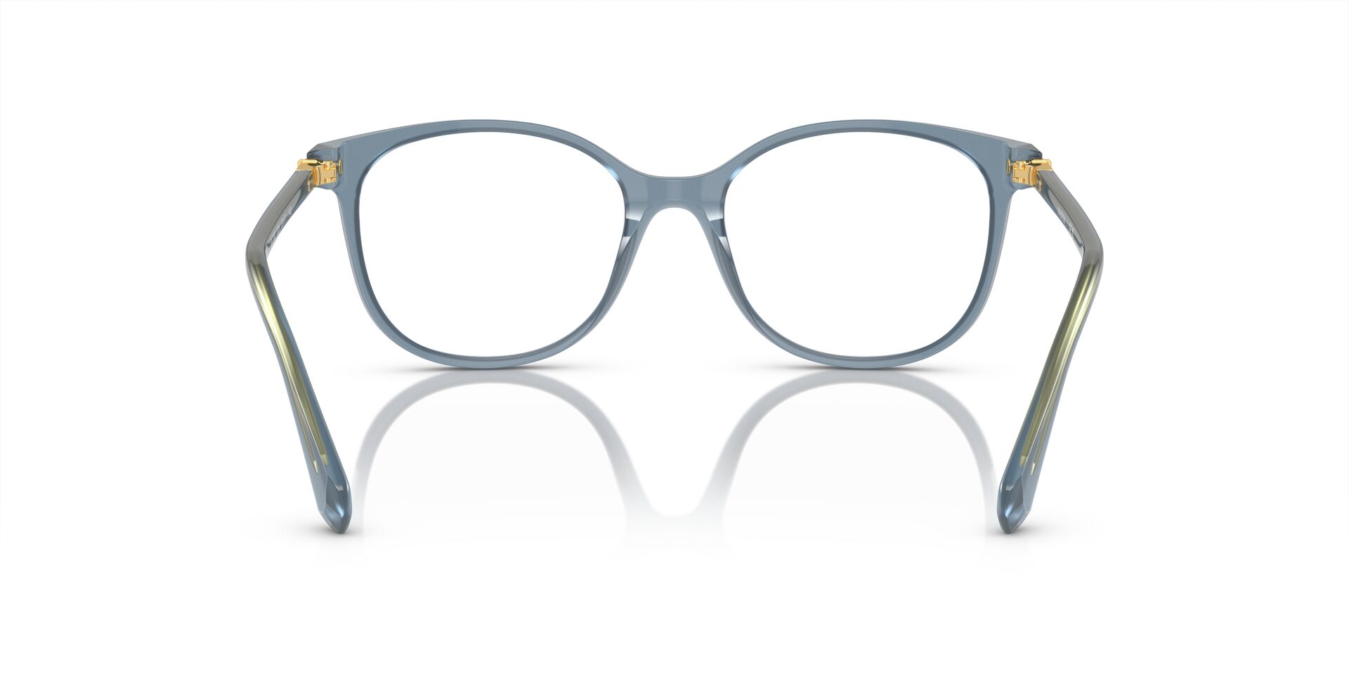 SWAROVSKI SK2002 1035 51 FRAME