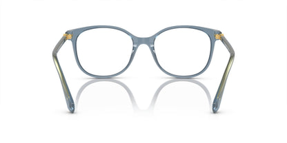 SWAROVSKI SK2002 1035 51 FRAME