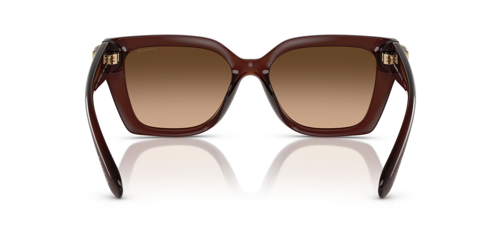 COACH HC8408U CW195 584174 55 SUNGLASSES
