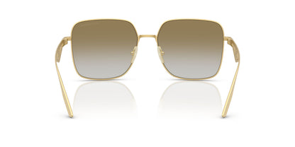 DOLCE & GABBANA DG2310 12246E 57 SUNGLASSES