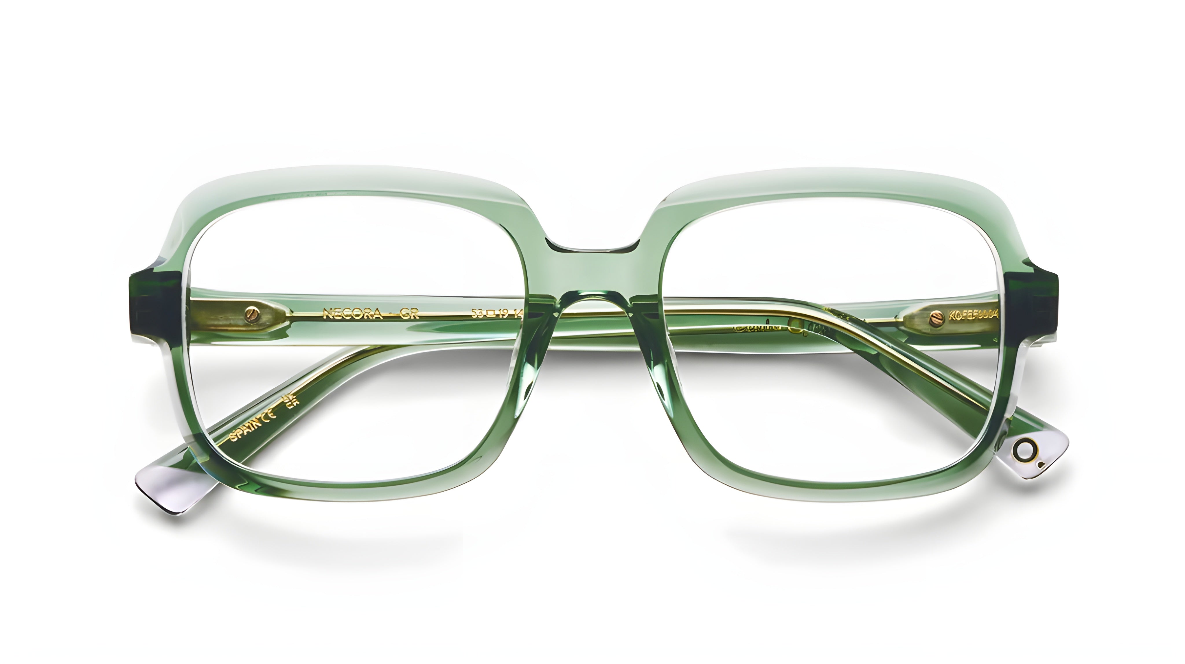 ETNIA BARCELONA NECORA GR 53 FRAME