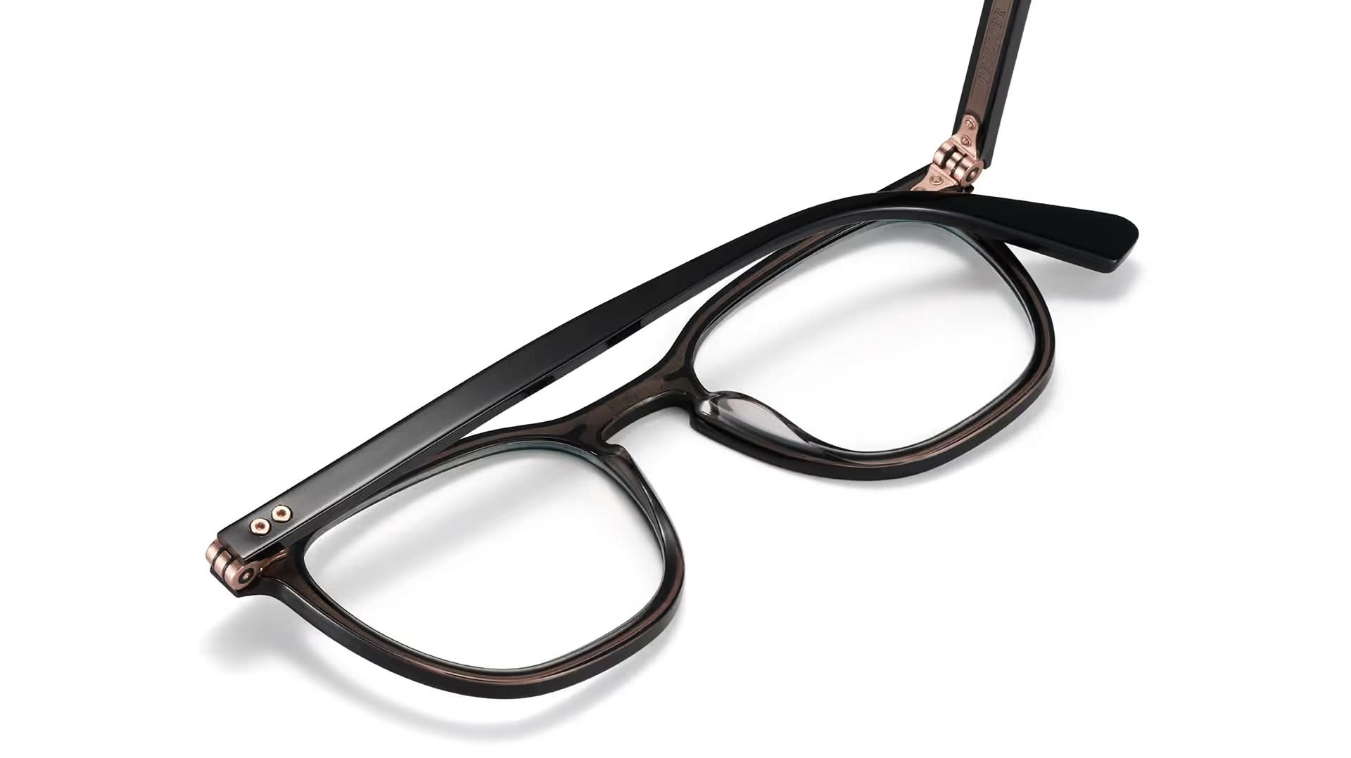 ETNIA BARCELONA PUIG PELLICER BKCL 50 FRAME