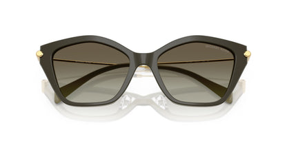 MICHAEL KORS MK2246U CATSKILLS 40193M 52 SUNGLASSES