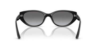 RAYBAN RB4457D 667711 55 SUNGLASSES