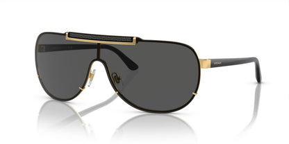VERSACE VE2140 100287 40 SUNGLASSES