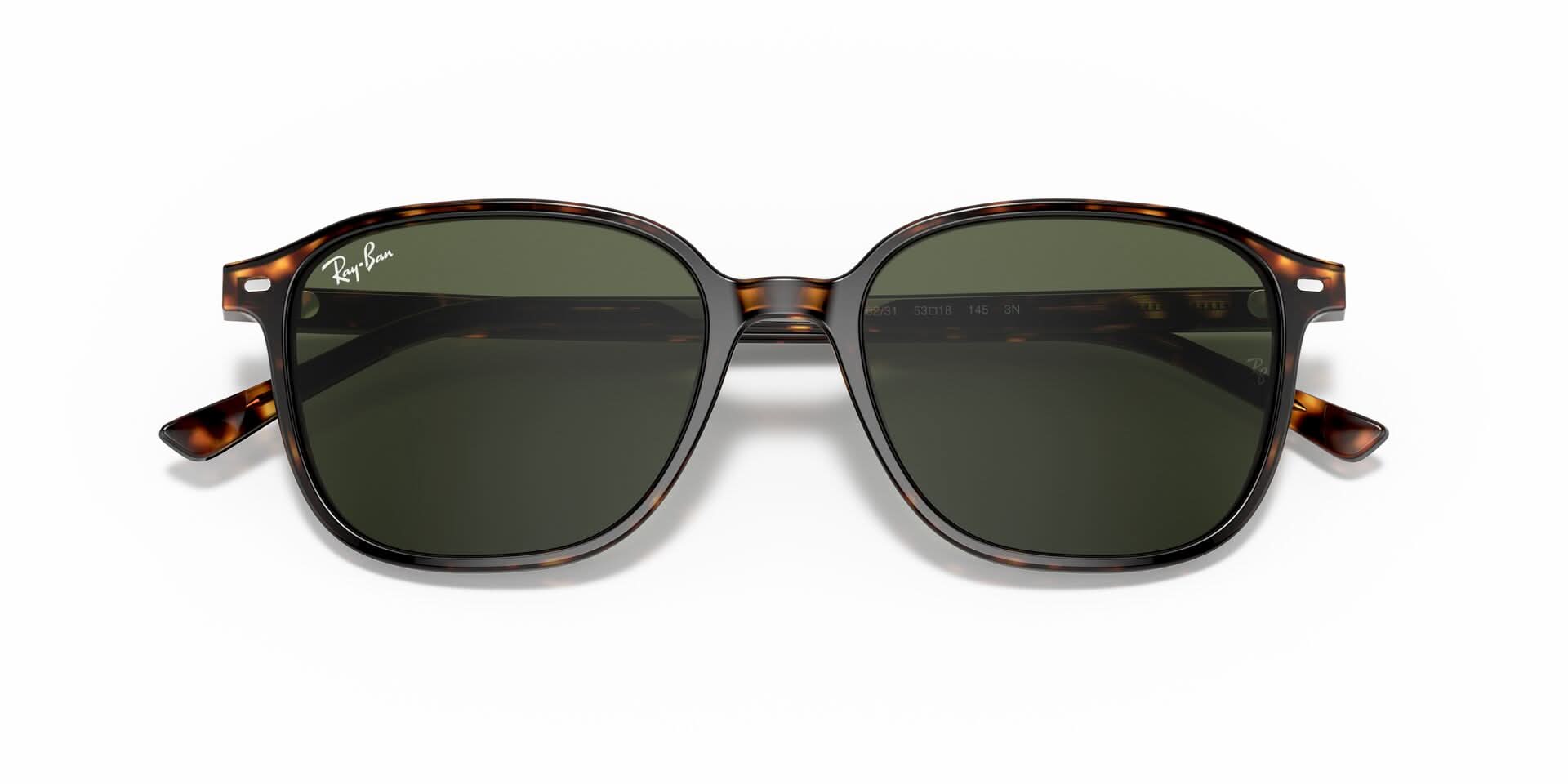 レイです RAYBAN RB2193 LEONARD 902/31 53 SUNGLASSES