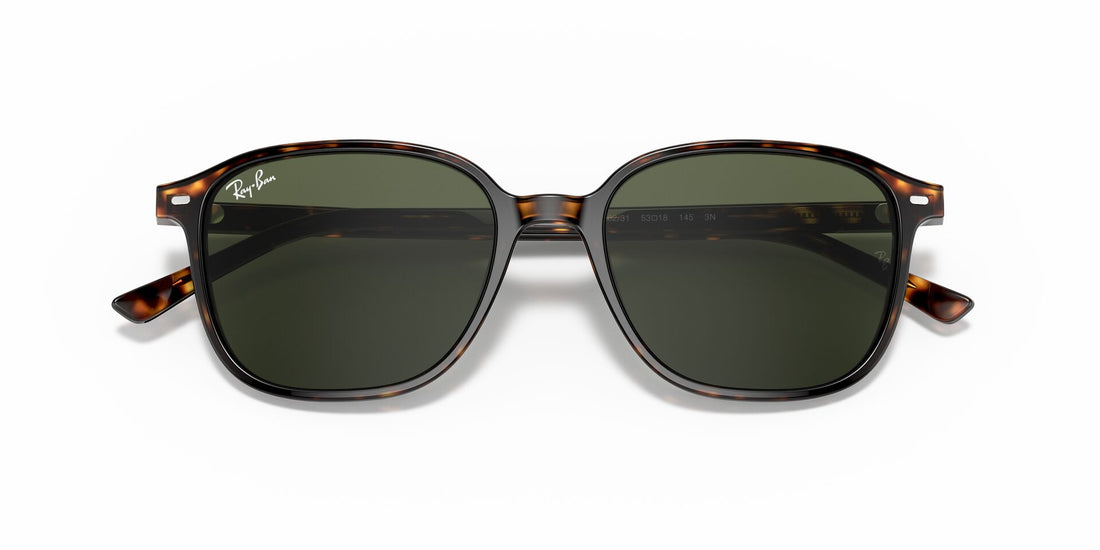 RAYBAN RB2193 LEONARD 902/31 53 SUNGLASSES