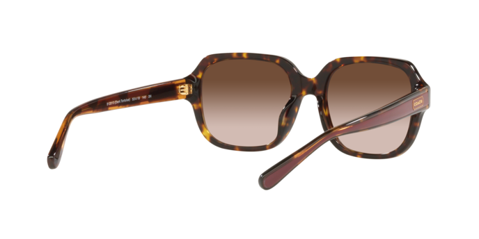 COACH HC8335U C7989 512013 53 SUNGLASSES