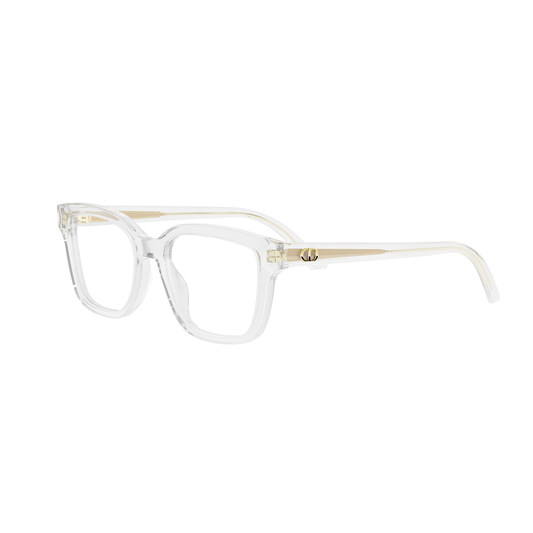 DIOR DIORGLOWO S1I 8500 51 FRAME