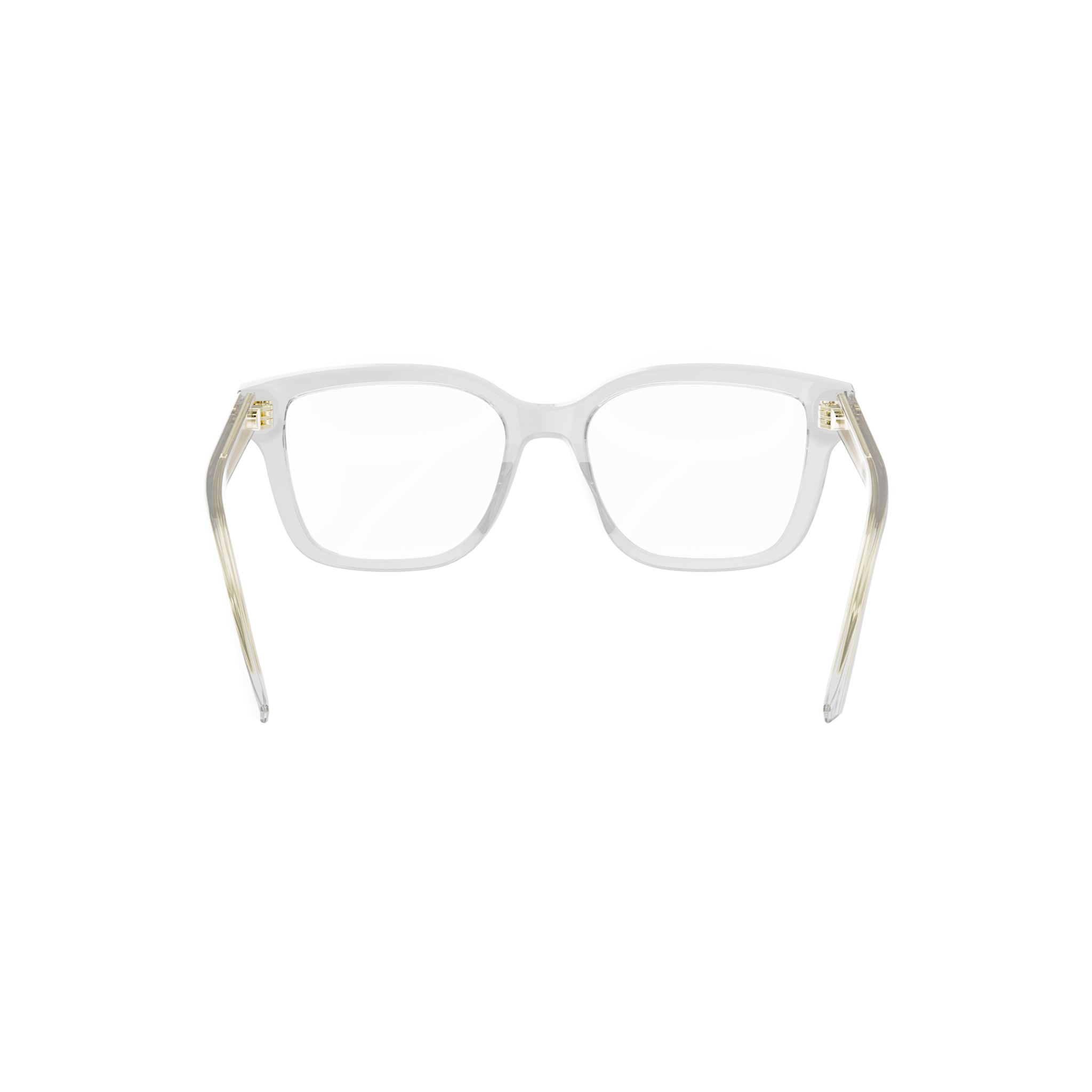 DIOR DIORGLOWO S1I 8500 51 FRAME