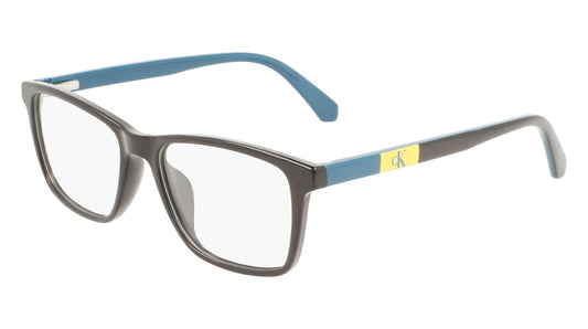 CALVIN KLEIN JEANS CKJ22302 001 48 FRAME