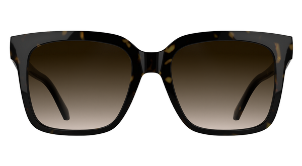 CALVIN KLEIN JEANS CKJ25624S 242 53 SUNGLASSES