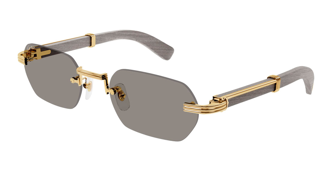 CARTIER CT0362S 005 54 SUNGLASSES