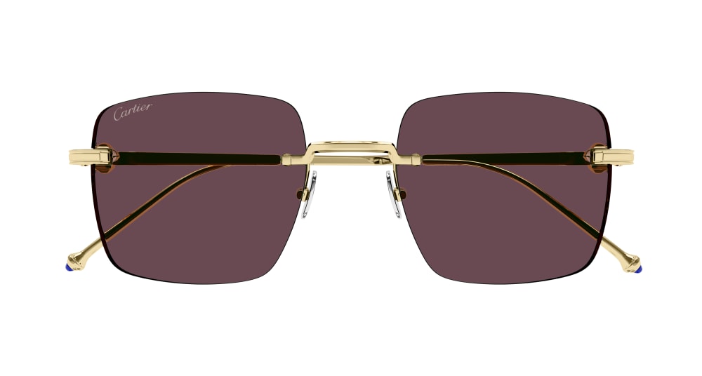 CARTIER CT0403S 003 52 SUNGLASSES