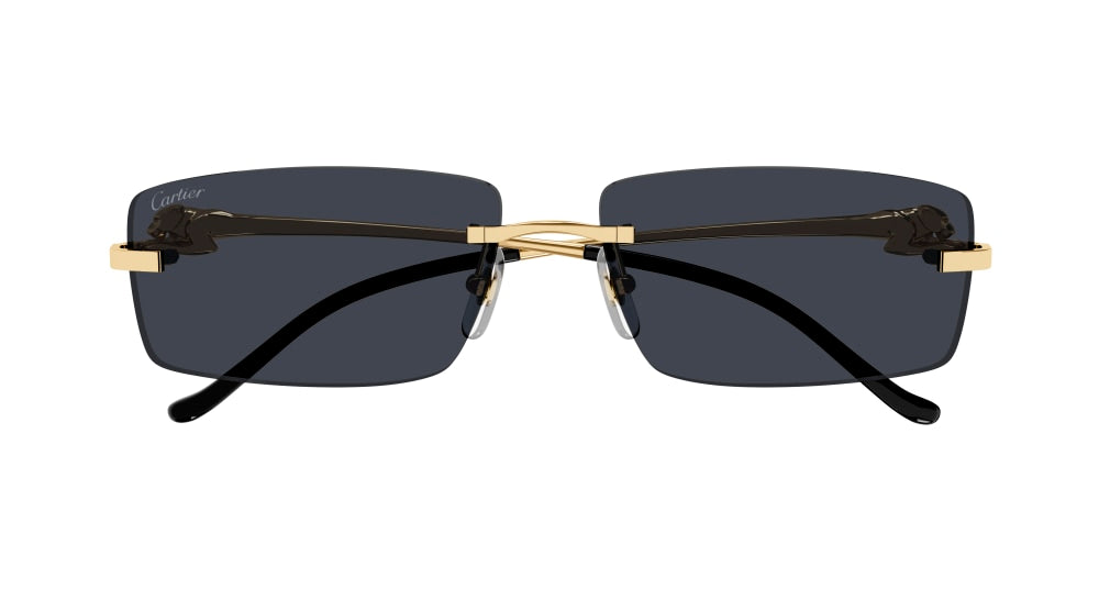 CARTIER CT0430S 001 58 SUNGLASSES