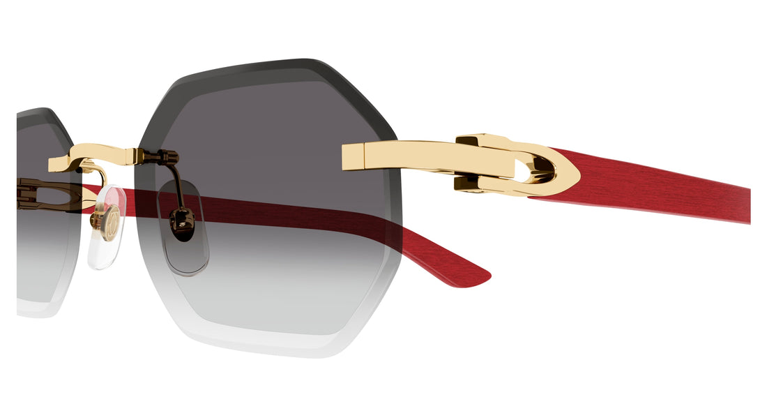 CARTIER CT0439S 003 54 SUNGLASSES