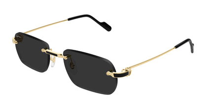 CARTIER CT0498S 001 55 SUNGLASSES