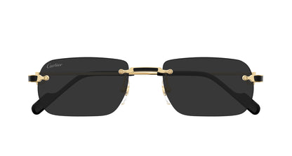 CARTIER CT0498S 001 55 SUNGLASSES