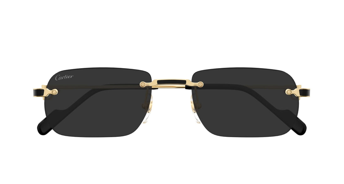 CARTIER CT0498S 001 55 SUNGLASSES