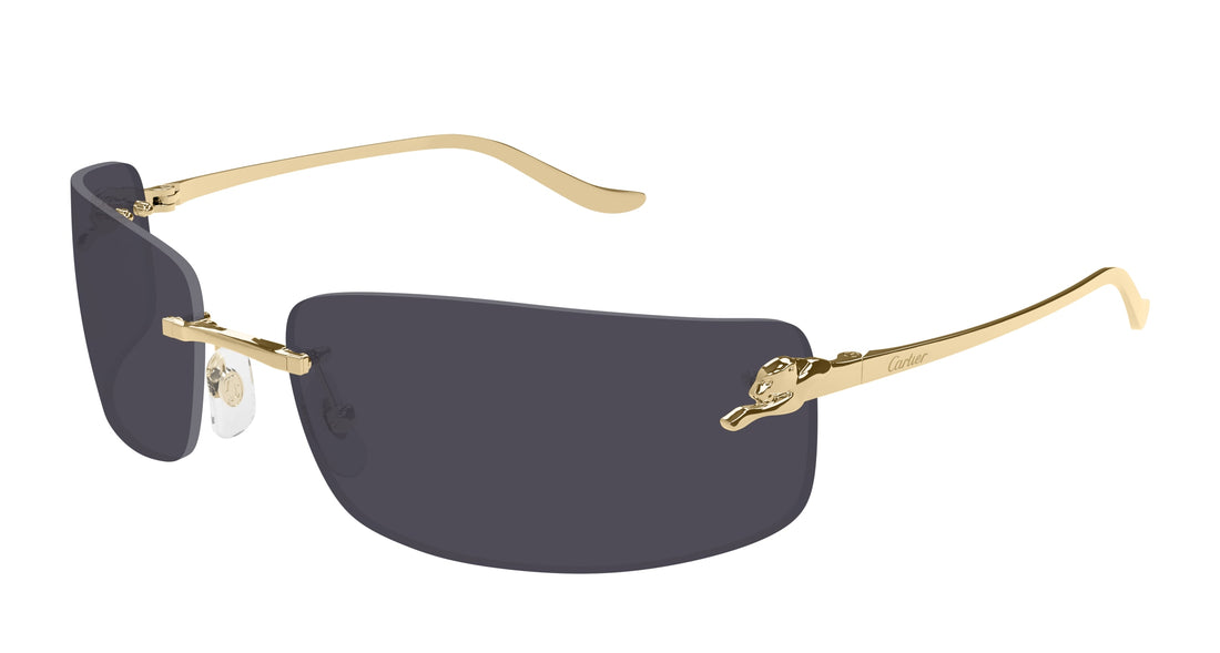 CARTIER CT0503S 001 71 SUNGLASSES