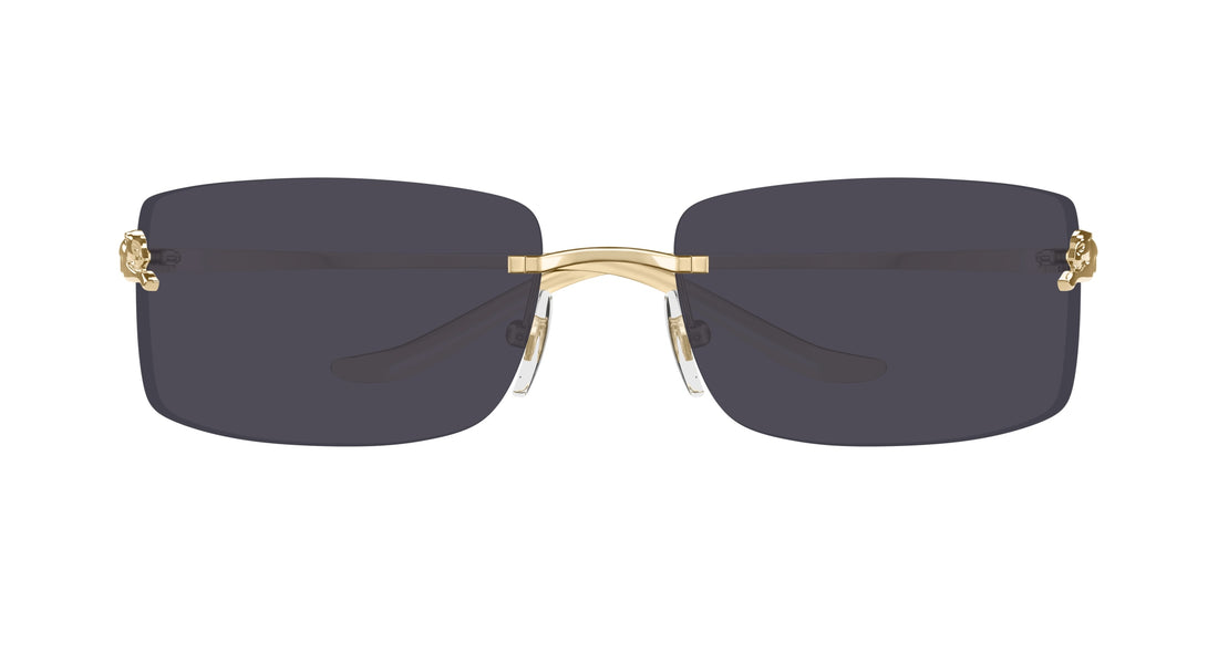 CARTIER CT0503S 001 71 SUNGLASSES